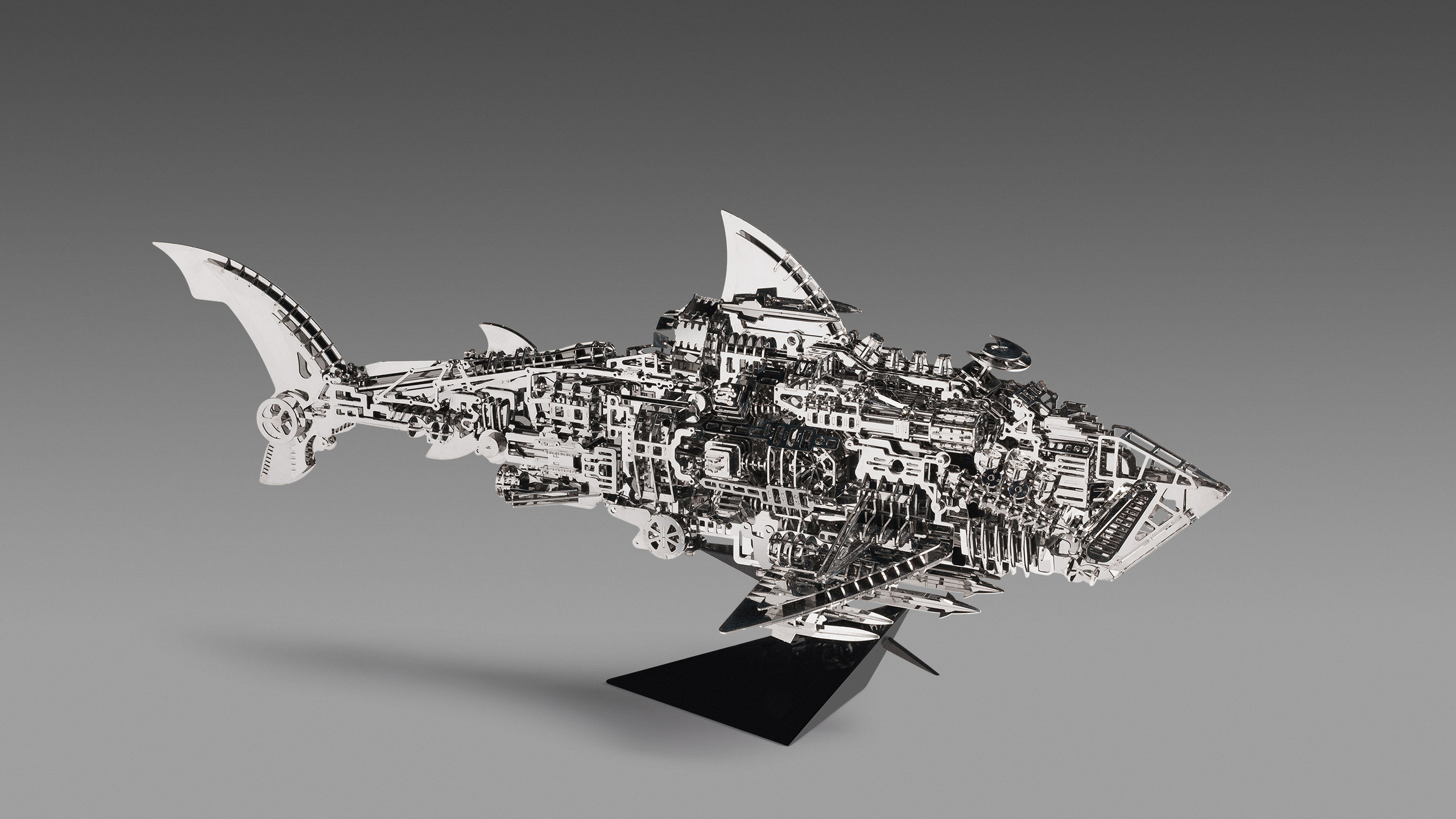 SHARK