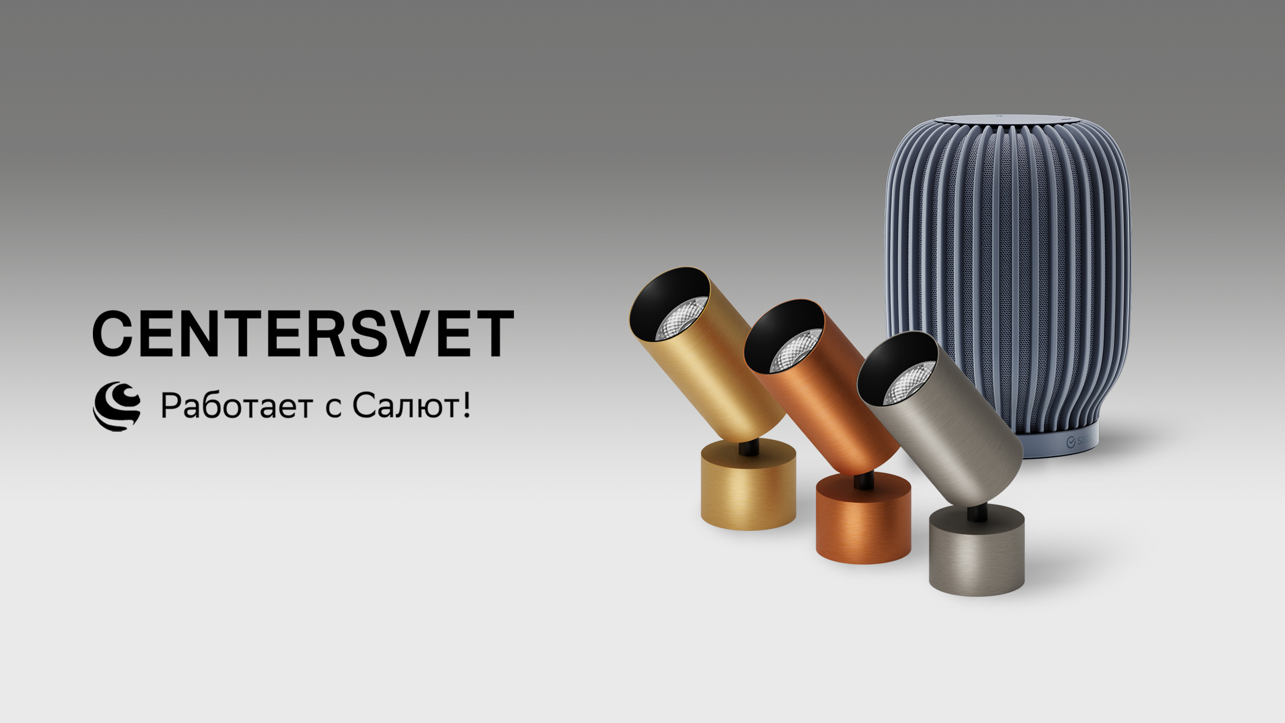 Lights CENTERSVET X SBER