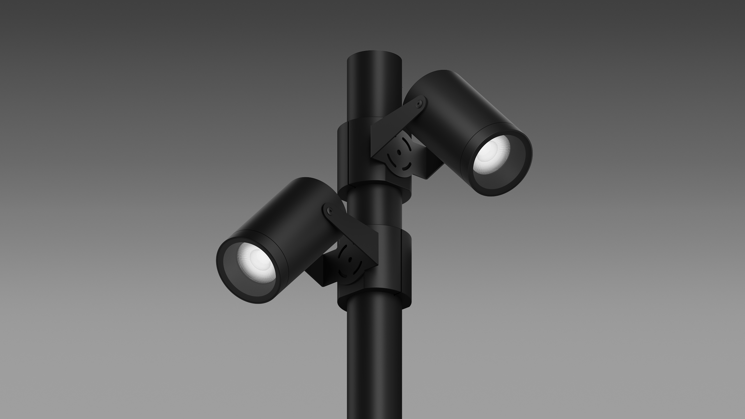 Light Posts POLE 102 LOCUS O
