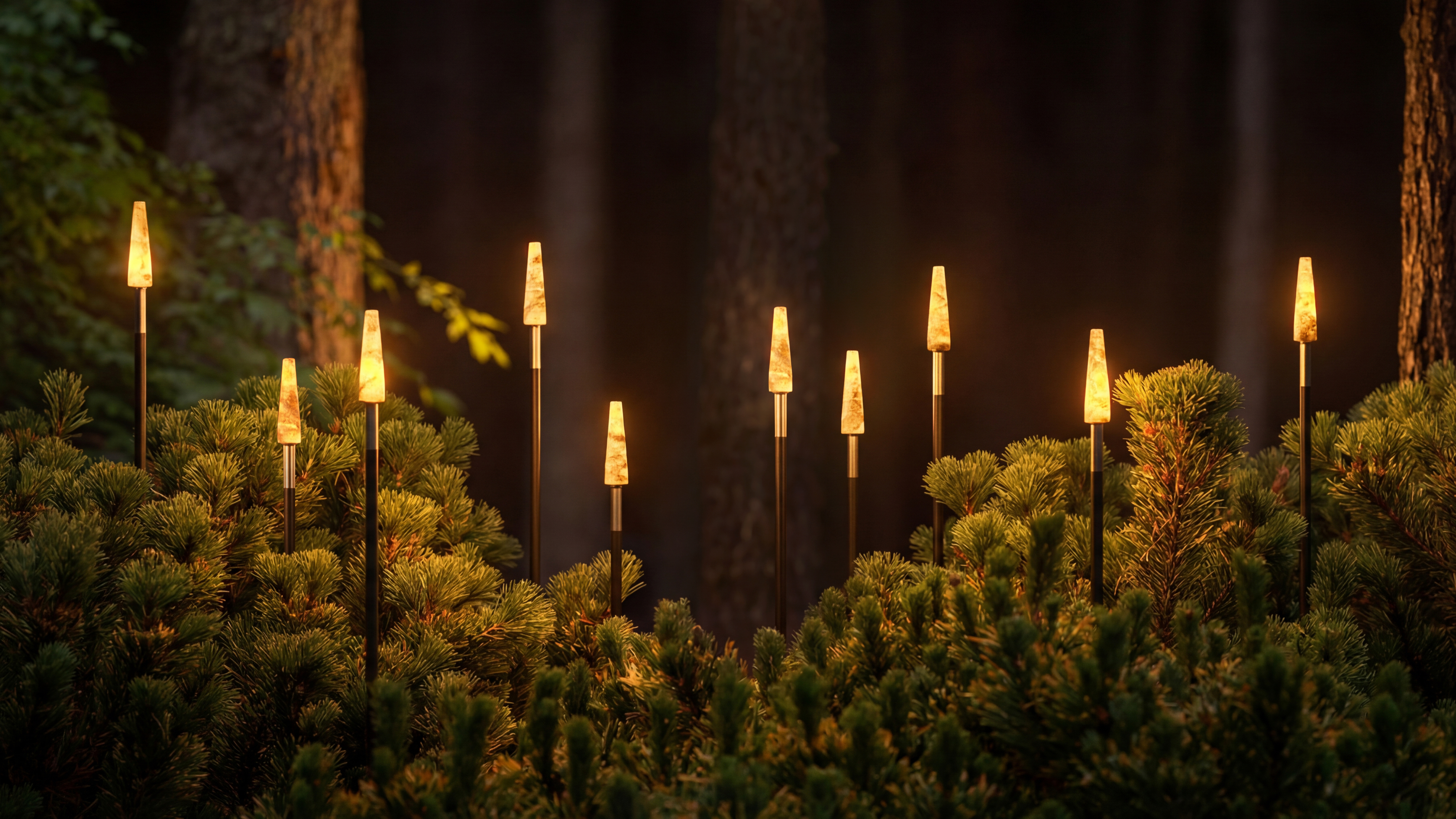 Lights GARDEN REEDS PICAS