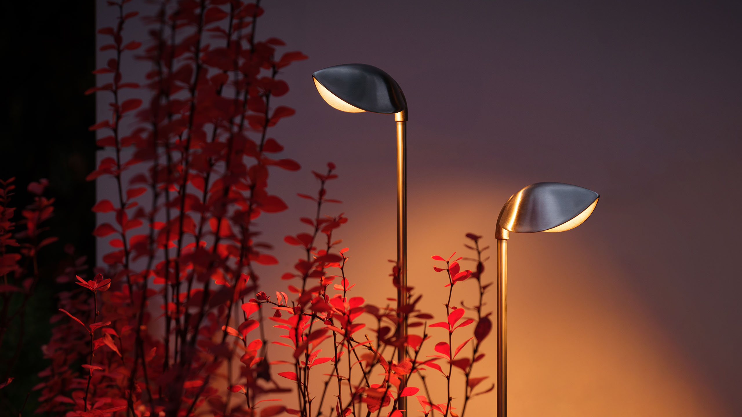  GARDEN PIN TULPAN