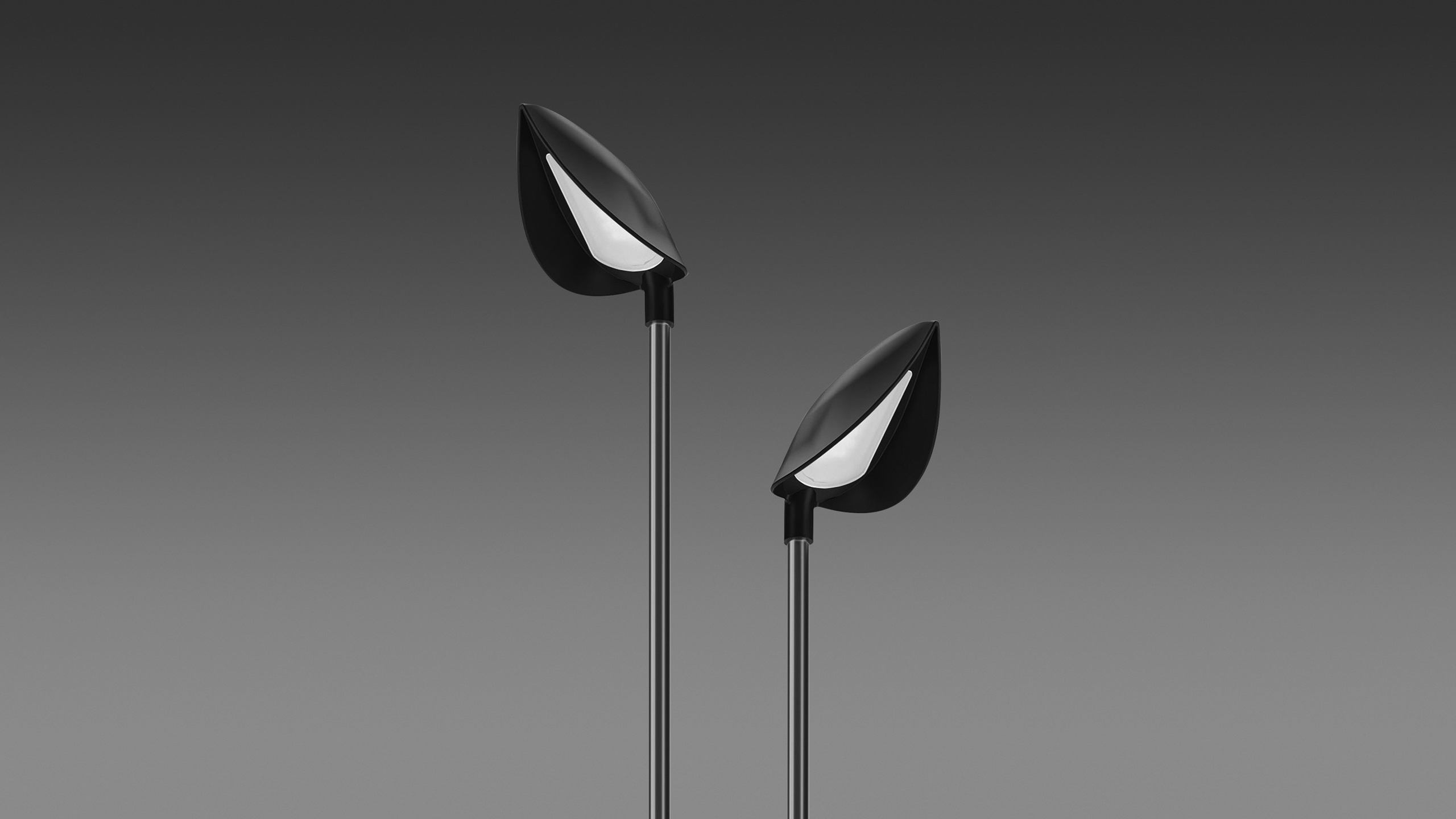 Lights TULPAN