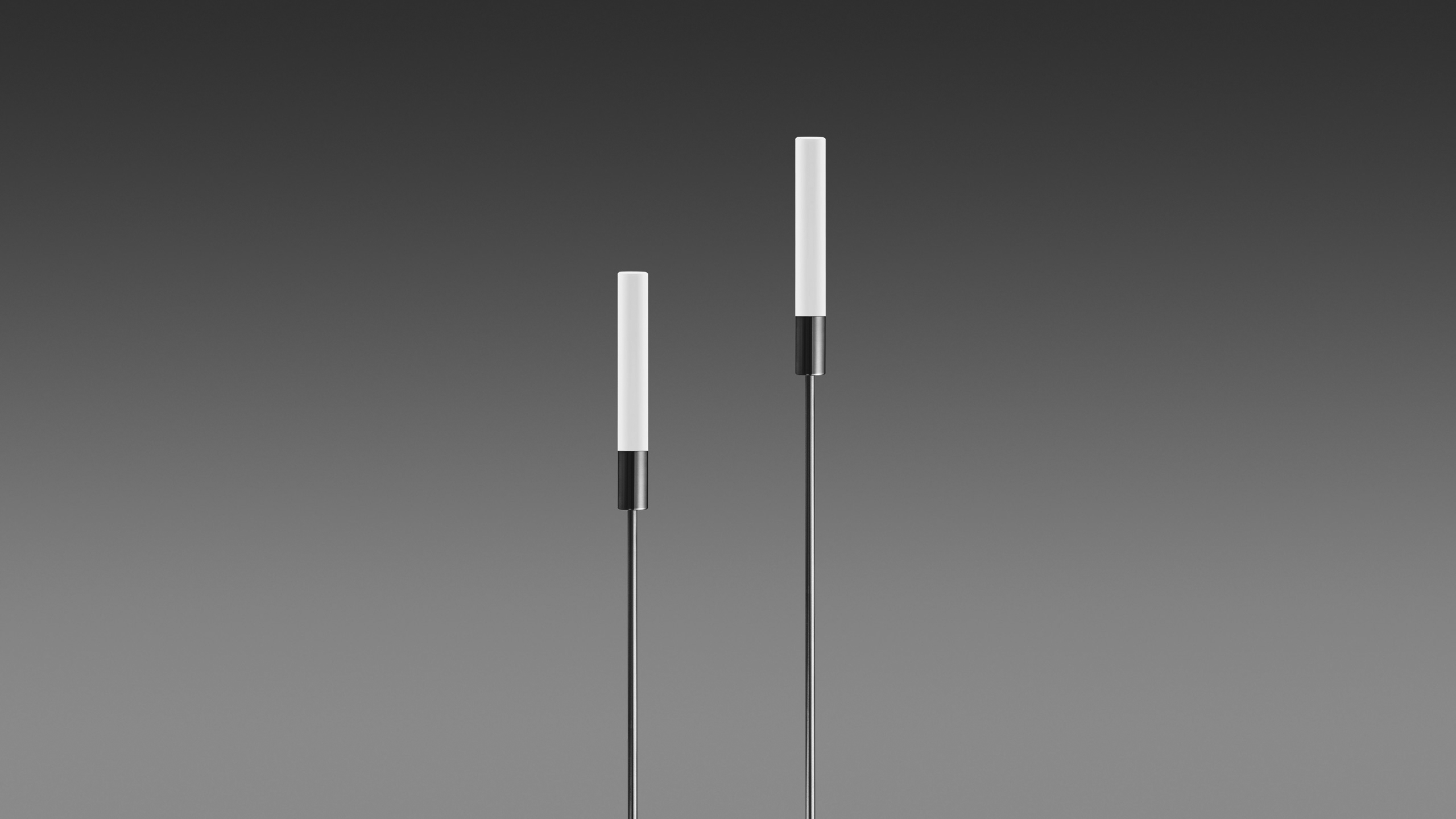 Lights REEDS