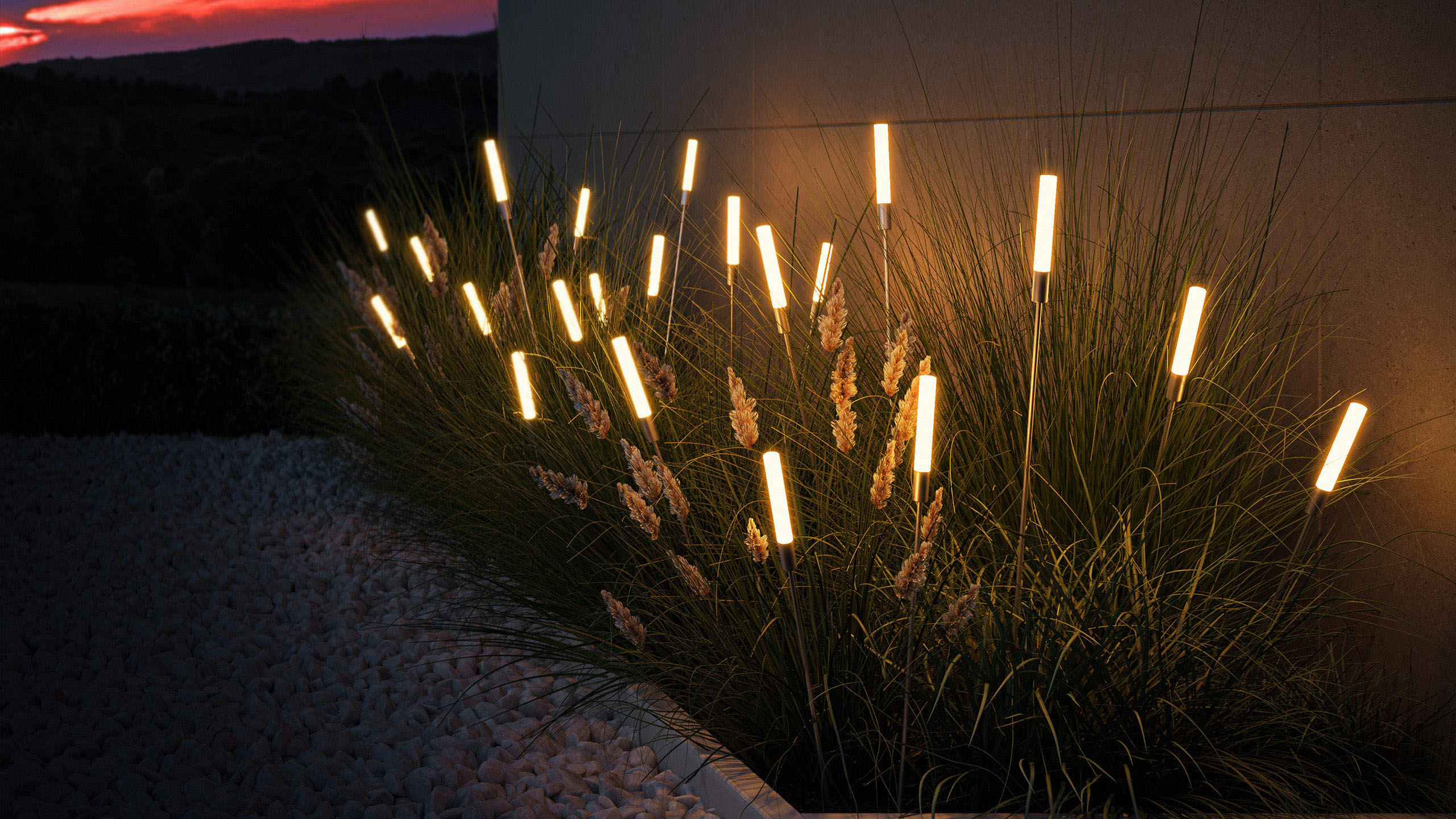  GARDEN REEDS