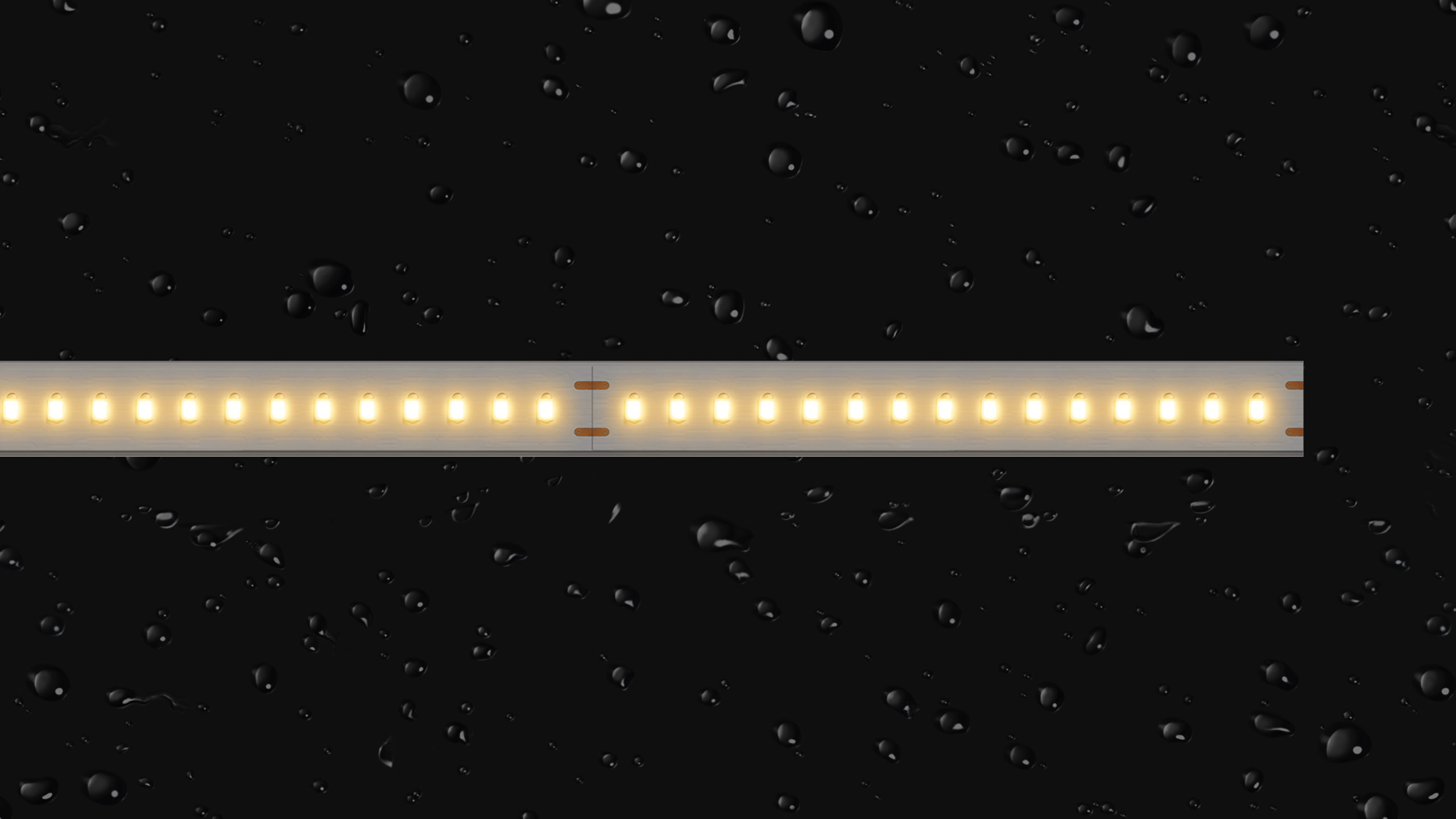 LED Strips LENTA 220V