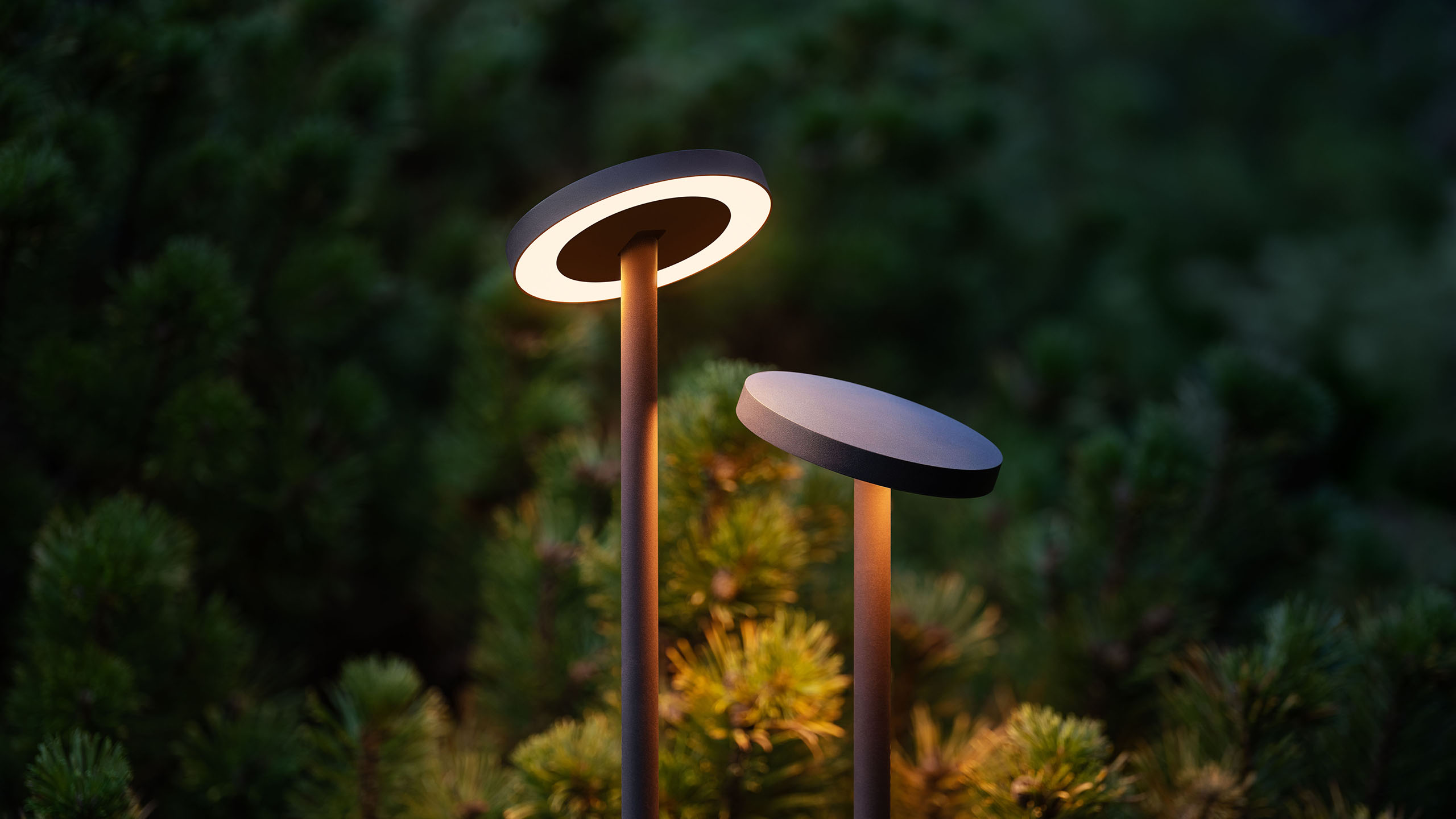 Lights MUSHROOM 8W